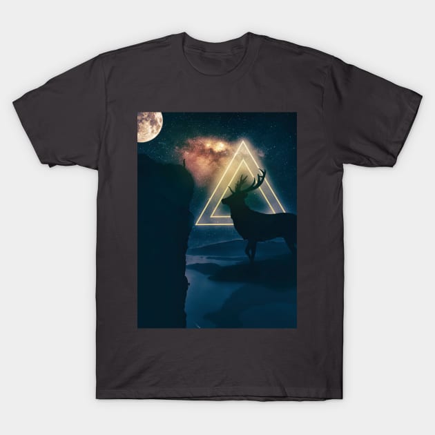 The cosmic reunion T-Shirt by phxartisans